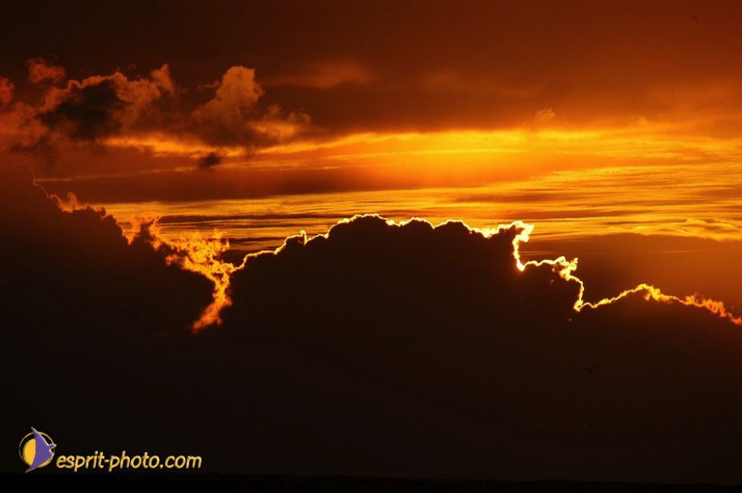 Nom de l'image : EP08-0340_(c)Norbert-JUNG — Description :